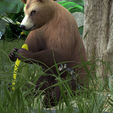 0_00036.png Bear DOWNLOAD Bear 3d model - animated for blender-fbx-unity-maya-unreal-c4d-3ds max - 3D printing Bear Bear