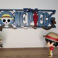 IMG_20220123_142735.jpg Logo One Piece