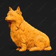 681-Australian_Terrier_Pose_05.jpg Australian Terrier Dog 3D Print Model Pose 05