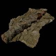 Fossil_2_2_Psittacosaurus_sp_vertebralis_ribs_render.jpeg Psittacosaurus Sp. Vertebralis Ribs