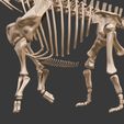 4.jpg Argentinosaurus : Esqueleto completo