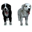 0.jpg DOG DOG - DOWNLOAD Sheepdog 3d model - CANINE PET GUARDIAN WOLF HOUSE HOME GARDEN POLICE 3D printing DOG DOG