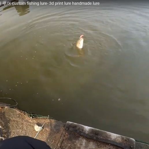 20190312_113235.jpg fishing Lure for trout- crank bait