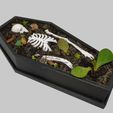 Coffin_pot_suculents.jpg Free STL file Coffin pot plant container for Halloween・3D print design to download