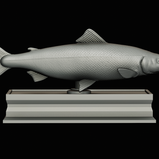 Salmon-statue-box-1-36.png fish sculpture of a Atlantic salmon / salmo salar with storage space / for 3d printing