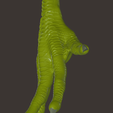 99FA642A-BB46-4D66-B0CF-2CF278428596.png Archivo STL Pata de pollo・Objeto para impresora 3D para descargar