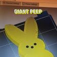 332846787_901307071111034_3178791025824766856_n.jpg Easter Peep Giant Bunny Cake Topper Easter basket gift Kids Peep /Personalized Bunny