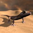 Pachydactylus-Rangei_Boden0002.jpg Namib Gecko -Pachydactylus rangaii-mit Full-Size-Textur + Zbrush Originale-STL-3D-Druck-Datei-High-Polygon