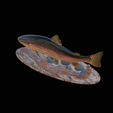 pstruh-klacky-1-3.png rainbow trout 2.0 underwater statue detailed texture for 3d printing