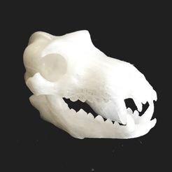 BONEHEADS: Wolf Skull & Jaw Bone - PROMO - 3DKITBASH.COM