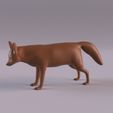 FennecFoxPr_0008.jpg Animales del desierto del Sáhara