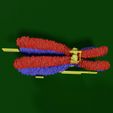 si0020-1.jpg Chromosome homologous centromere kinetochore blender 3d model