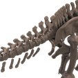15.png Alamosaurus: Complete skeleton