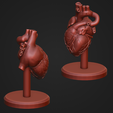 heart_v2.png Human Heart Anatomy Sculpture Statue Art