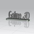 Gatine_3D