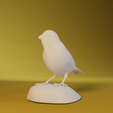 0002.png Canary