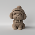 df.png Cute Shih Tzu Puppy with Beanie