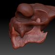 5.jpg Archivo STL Cráneo de Rancor Toro・Idea de impresión 3D para descargar