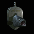 White-grouper-head-trophy-5.png fish head trophy white grouper / Epinephelus aeneus open mouth statue detailed texture for 3d printing