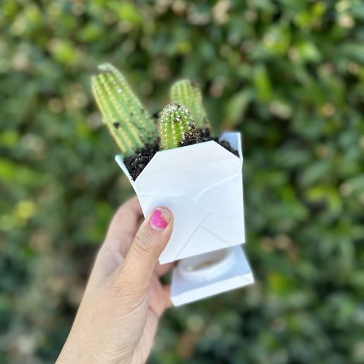 Chinese Takeout Planter Box - Twist Drip Tray STL File for Cults