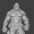 g6.jpg King Kong Fighter Gorilla Warrior