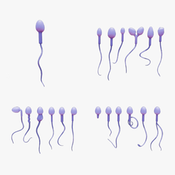 Sperm_Thumbnail.png Fichier 3D Morphologie des spermatozoïdes : Normale et anormale・Plan pour impression 3D à télécharger