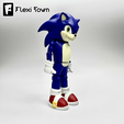 Flexi-Town-Sonic,-I1.png Flexi Sonic the Hedgehog, Sonic Universe, Articulated fidget figure, 3mf included
