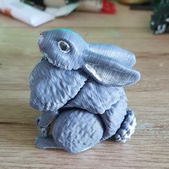 Bunny - Animal articulé Flexi (impression en place, pas de supports)