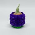 DSC_0238.jpg Small pot for cactus