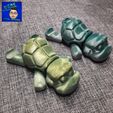 tortue flexible