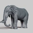 R02.jpg african elephant pose 02