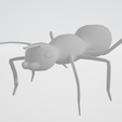 ant.png Ant Model