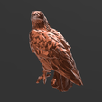 Screenshot_8.png Low Poly - Noble Eagle Magnificent Design