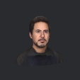 model-5.png Tony Stark Downey Jr Iron Man-bust/head/face ready for 3d printing