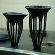DSC05590.JPG Hydropod for Aerogarden (Grow Insert)