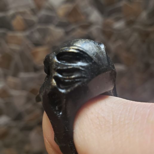 20210902_133330.jpg RAVEN RING