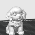 Captura-de-pantalla-2025-12-08-a-la-s-00.16.44.png Poodle mix dog