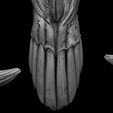 19.jpg 3D PRINTABLE MYTHOSAUR SKULL  HORNS AND SORGAN FROG THE MANDALORIAN