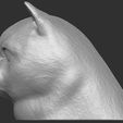 10.jpg British Shorthair cat head for 3D printing
