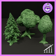 Trees.png Leafy & Evergreen Trees