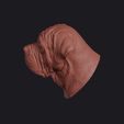 neapolitan_mastiff_0013.jpg Neapolitan Mastiff Head Bust Wall Mount
