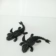 IMG20240531113537.jpg FLEXI TOOTHLESS DRAGON ARTICULATED
