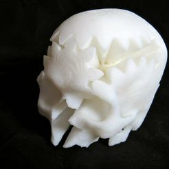 skull_gear_display_large.jpg Free 3D file Rotating Skull Gear・3D printable object to download