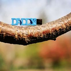 9Q8A2223-1.jpg Free STL file DADDY personalised USB case for Father's Day・3D printable model to download