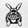 Sin-título.jpg rabbit mural