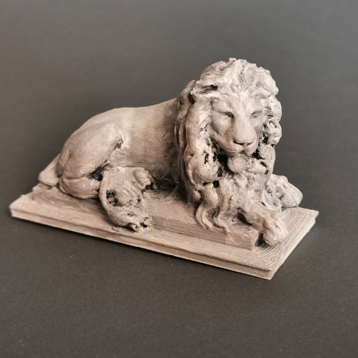 IMG_20210624_153808.jpg Lion 1