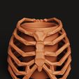 D7.13.jpg Ribcage Skeleton Planter | Gothic Anatomy Flower Pot | Dark Aesthetic Decor 3D Print