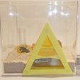 pyramid-nest1.png Queen Ant Egyptian Pyramid Nest Formicarium