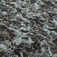 9.jpg Lichen 8K PBR Texture