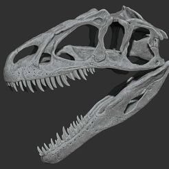 Screenshot-2023-12-18-160631.jpg Allosaurus Dinosaur Skull Replica